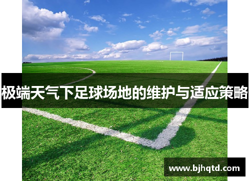 极端天气下足球场地的维护与适应策略